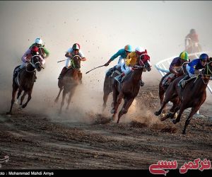 c_300_250_16777215_10_images_139406211034386046069384.jpg