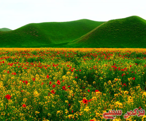 c_300_250_16777215_10_images_90090.png