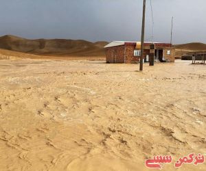 c_300_250_16777215_10_images_photo_2021-08-27_20-03-44.jpg